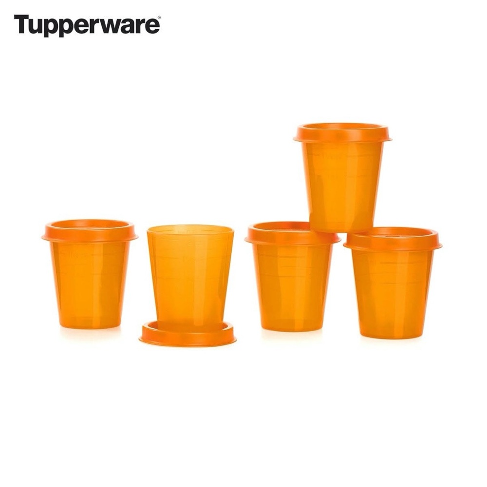 New Tupperware Minis